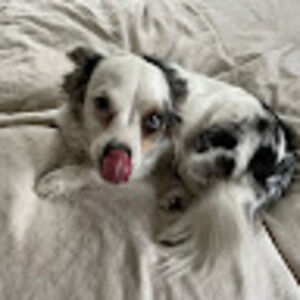 Meet your Posher, Ani